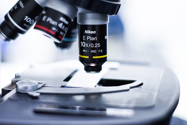 基于聚氨酯發(fā)泡催化劑led-103的環(huán)保型水發(fā)泡聚氨酯體系研究